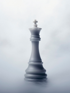 banner-image